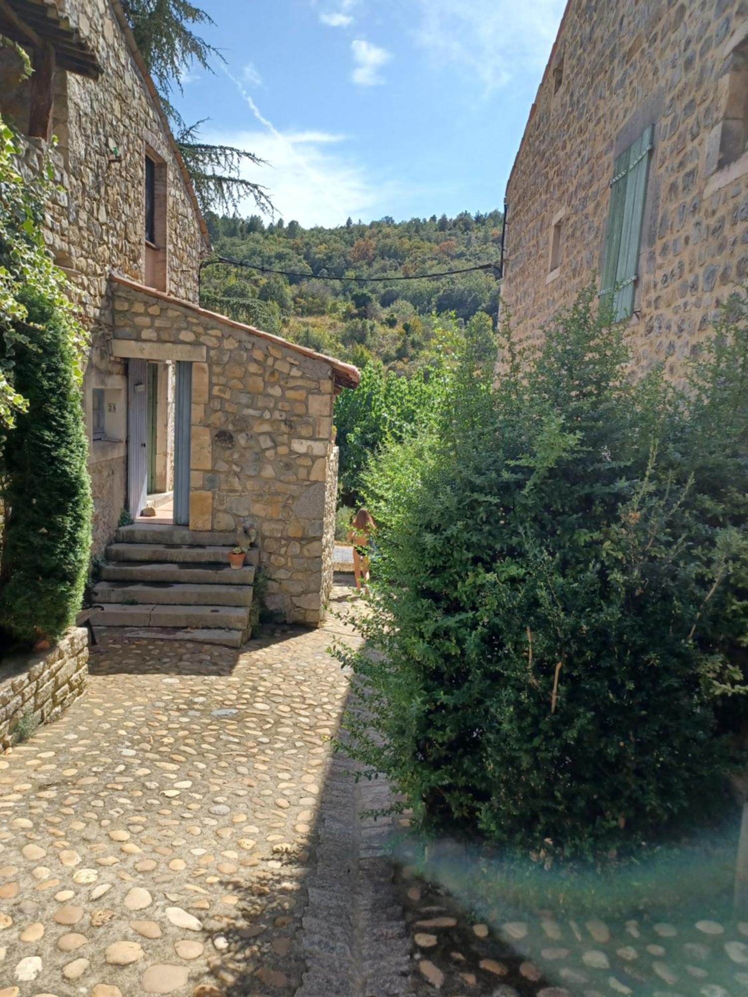 Gites Du Domaine De Serre Long Saint-Maurice-d'Ibie Экстерьер фото