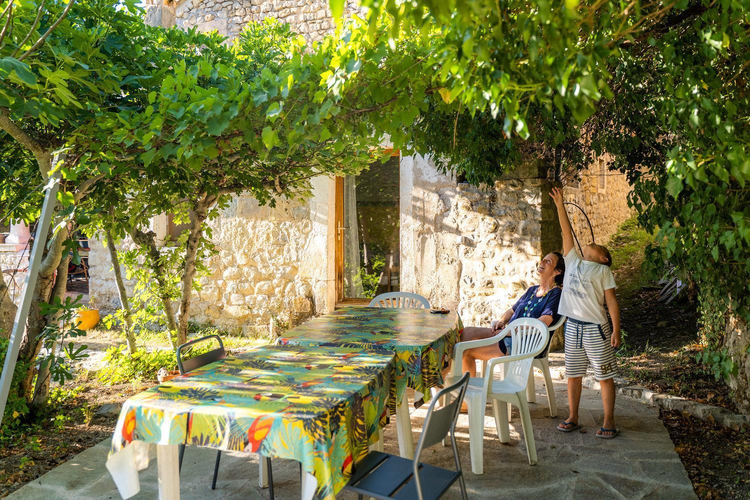 Gites Du Domaine De Serre Long Saint-Maurice-d'Ibie Экстерьер фото