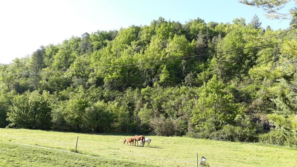 Gites Du Domaine De Serre Long Saint-Maurice-d'Ibie Экстерьер фото